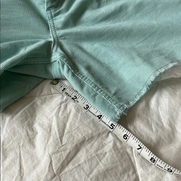 Carve Designs turquoise green/blue Jean Shorts - Picture 4 of 5